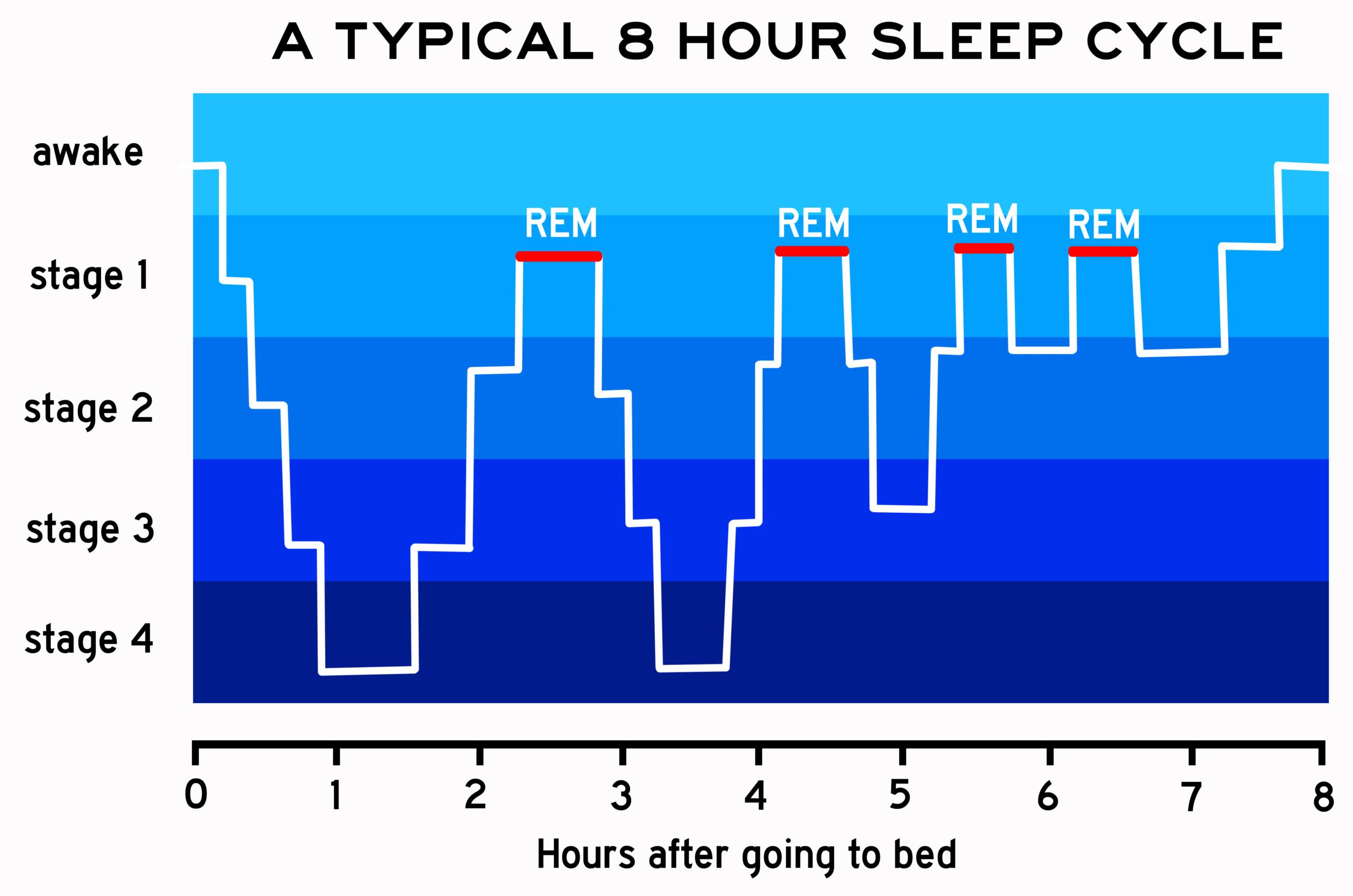 typical sleep cycle